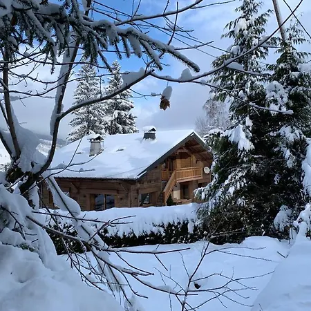 Chalet Familial Fleurs Des Bois - Rochebrune Megeve